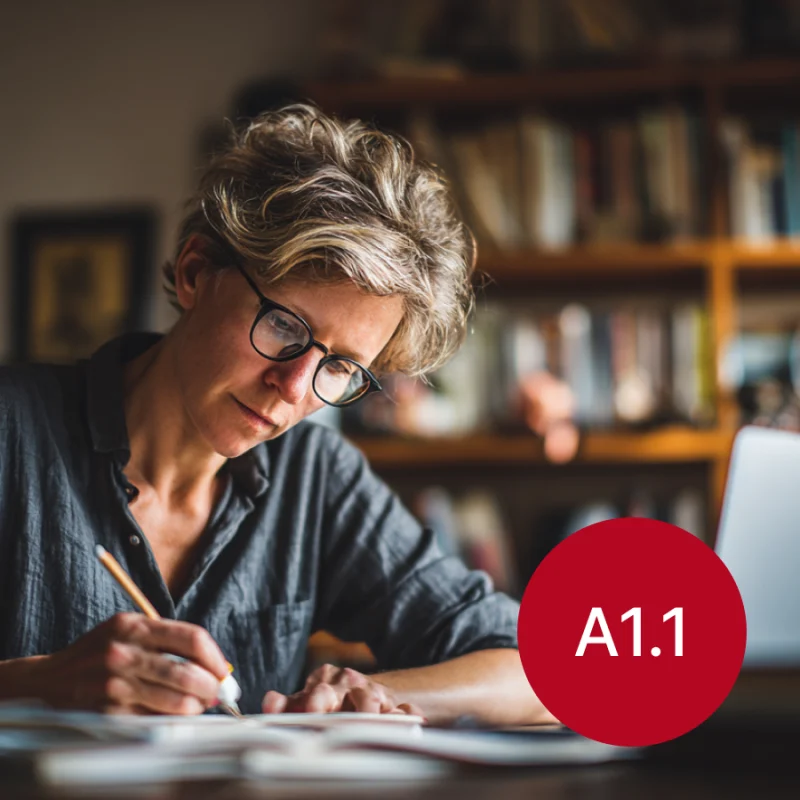 A1.1 старт в норвежский: простые шаги, крепкая база